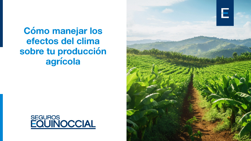 Estrategias para Manejar los Efectos del Clima en tu Producción Agrícola