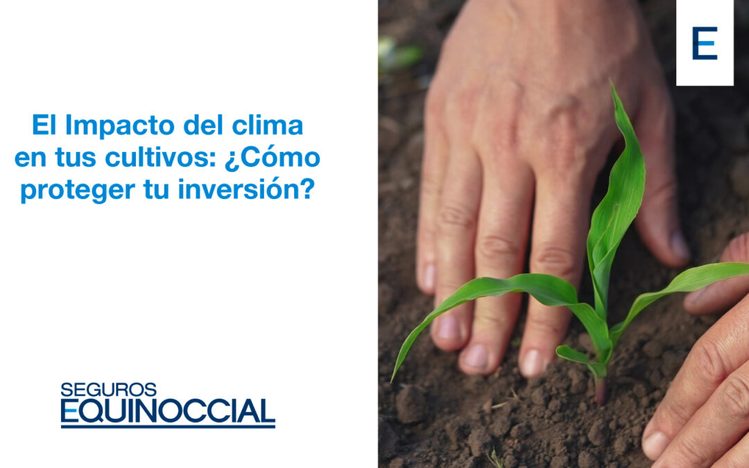 Cómo el Clima puede afectar tus Plantaciones